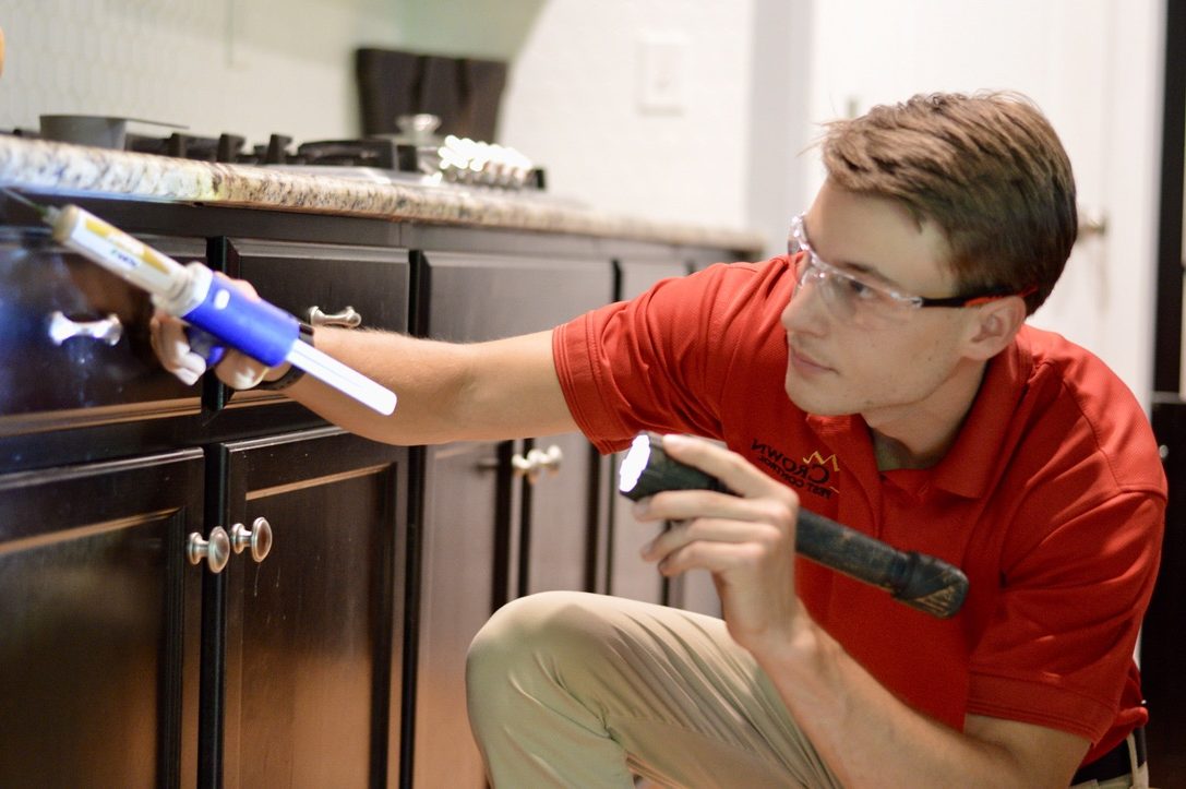 hunter eliminating different types of roaches in nc