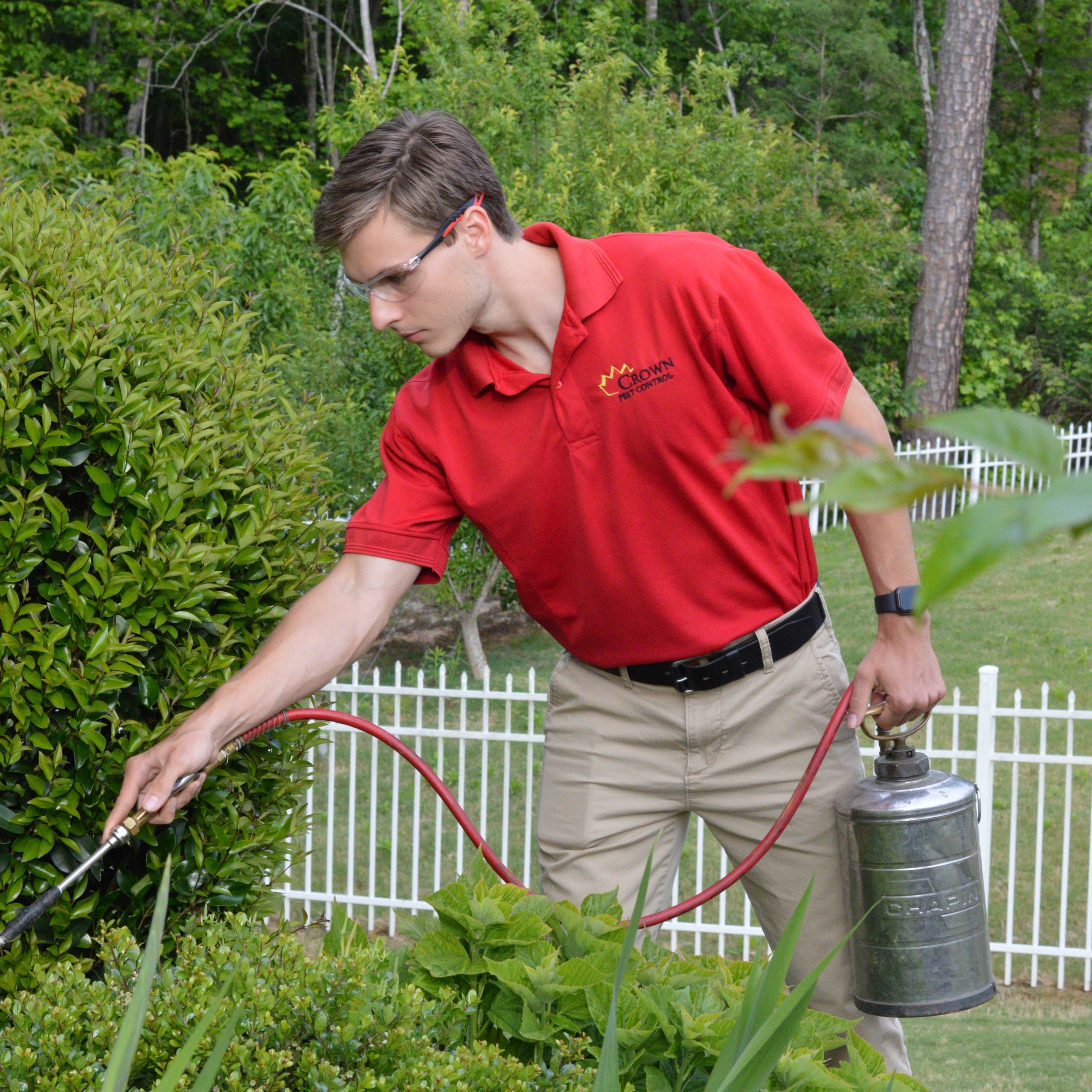 Top Pest Exterminator Charlotte