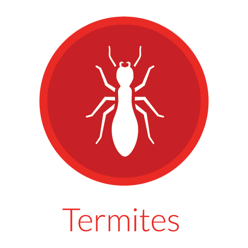 individual Pest Icons-04