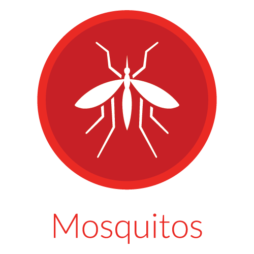 individual Pest Icons-05