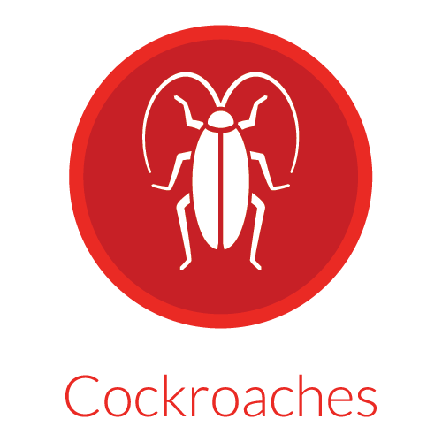 individual Pest Icons-06