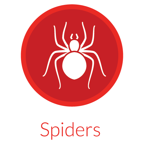 individual Pest Icons-09