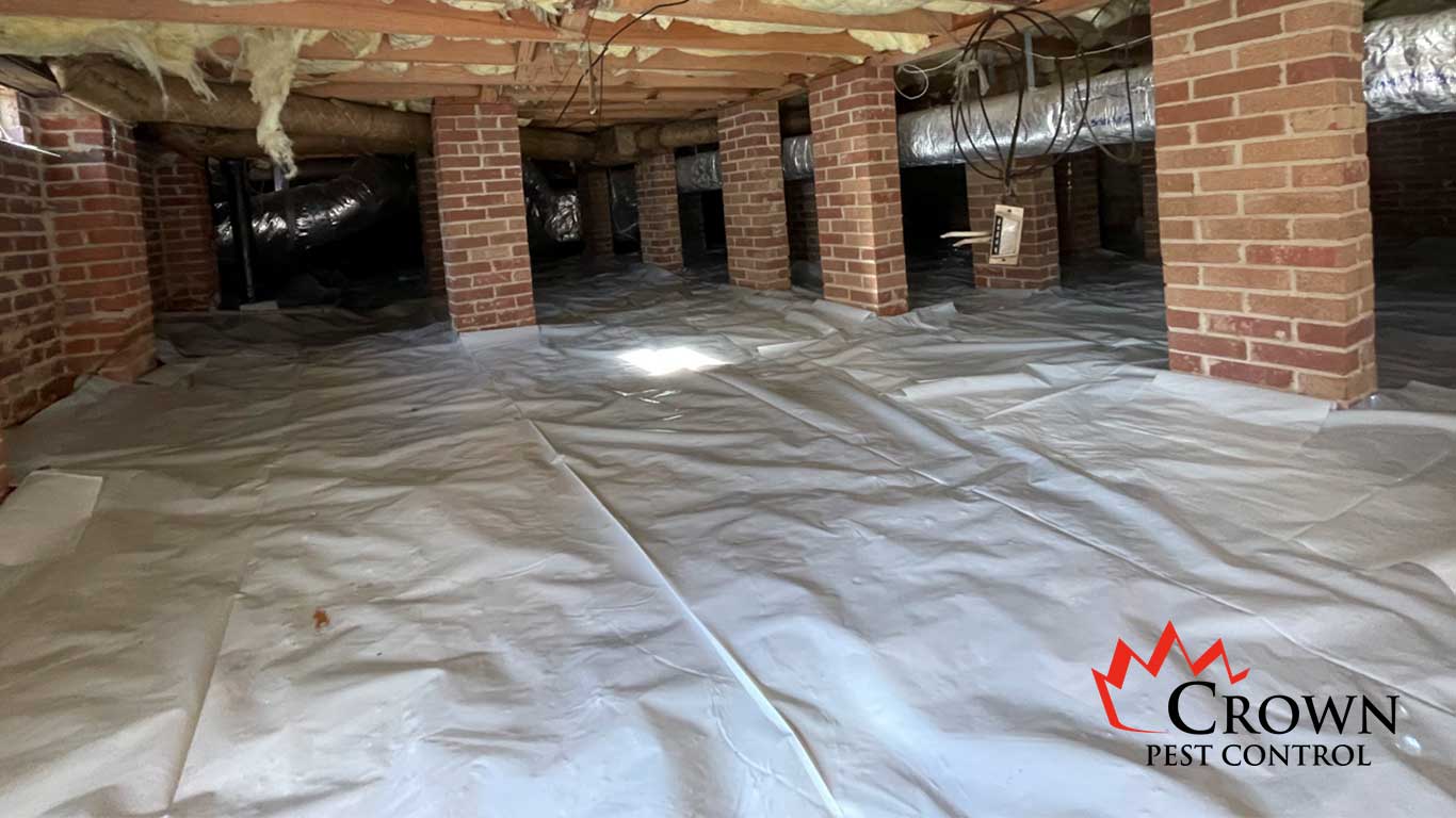 3-VaporBarrier Vapor Barrier