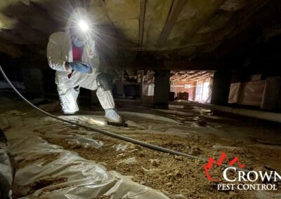 moisture control Crown Pest crawl space