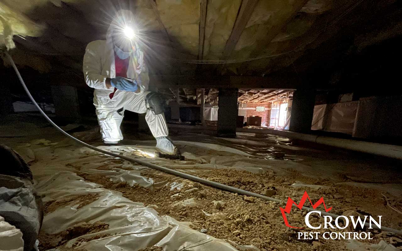 Crown Pest crawl space moisture barrier