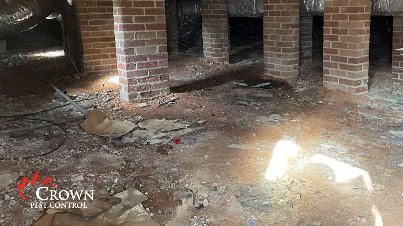 7-VaporBarrier Crawl Space