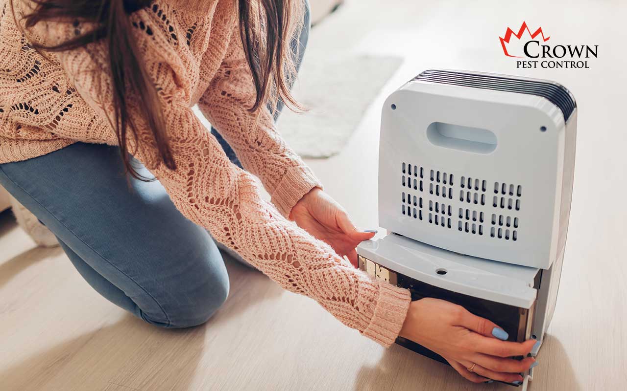 Dehumidifier dehumidifier dyi bugs