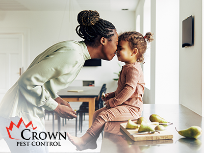 Crown Pest Control pest control home woman and child